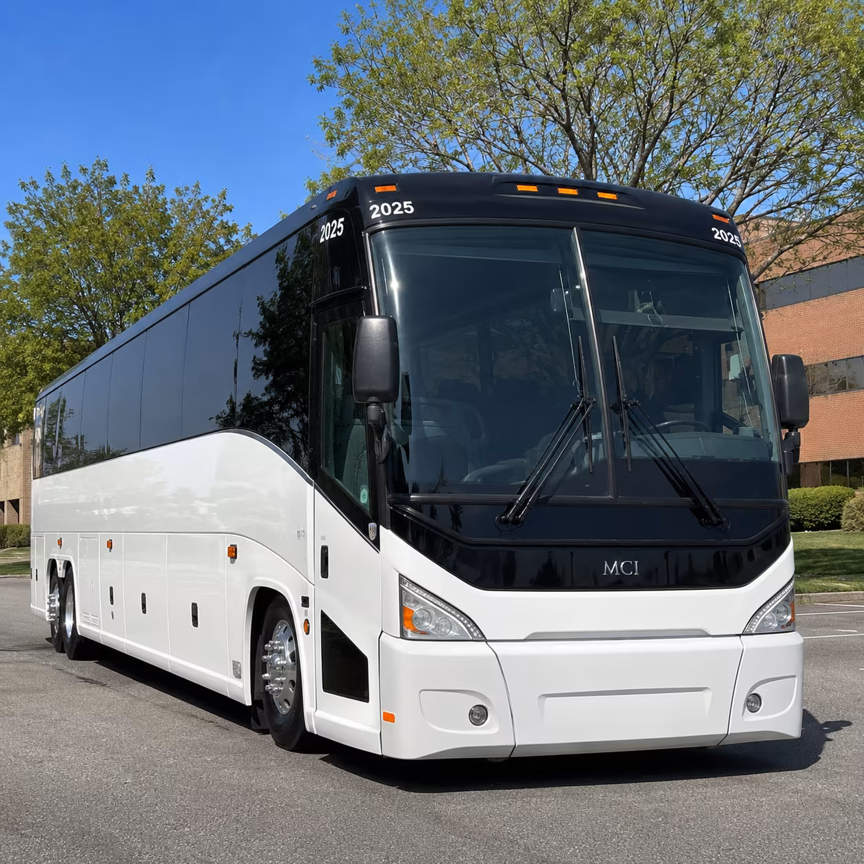 book the perfect ride for your next birthday 1