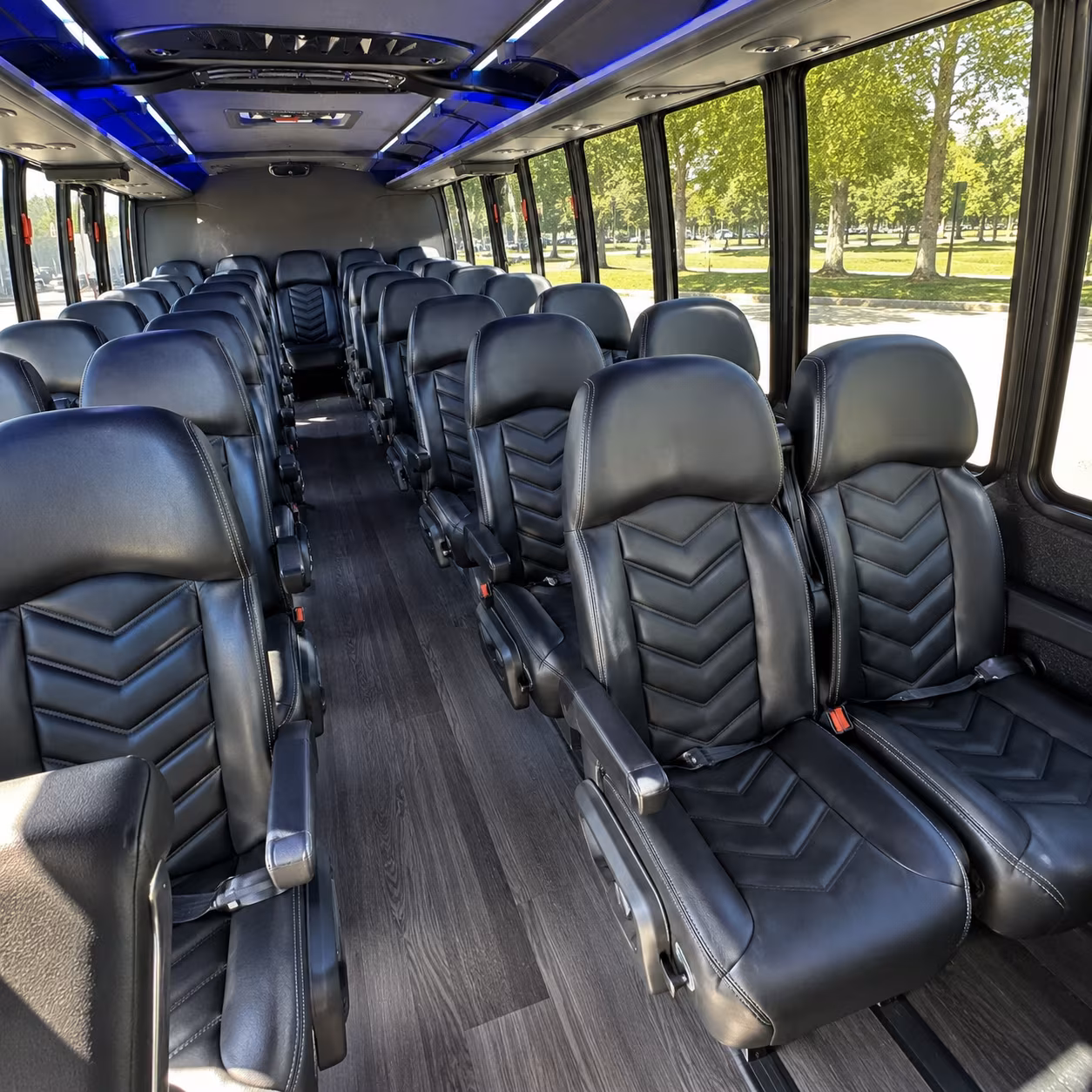 book the perfect ride for your next birthday 5