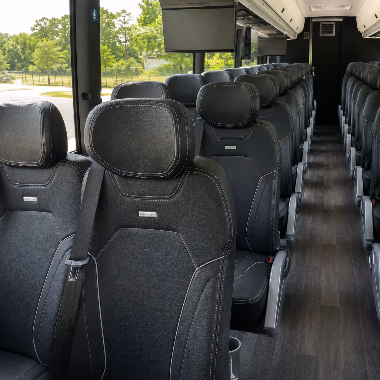 san angelo birthday party transportation