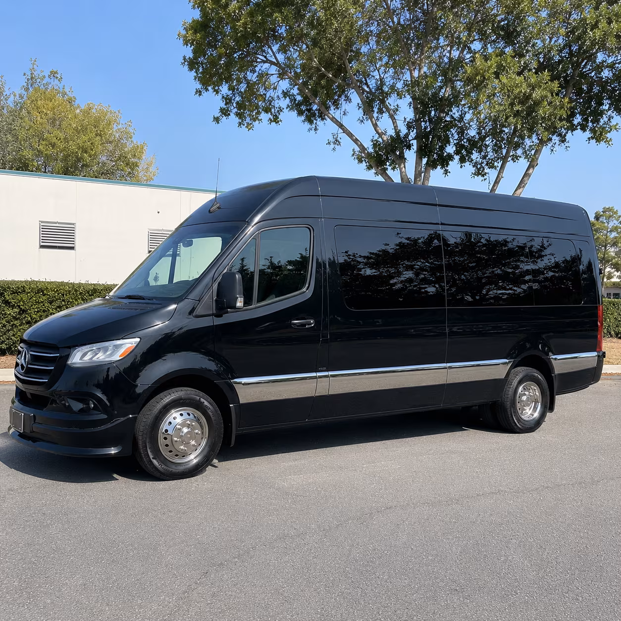 sprinter vans and minibuses for smaller san angelo bachelor and bachelorette groups